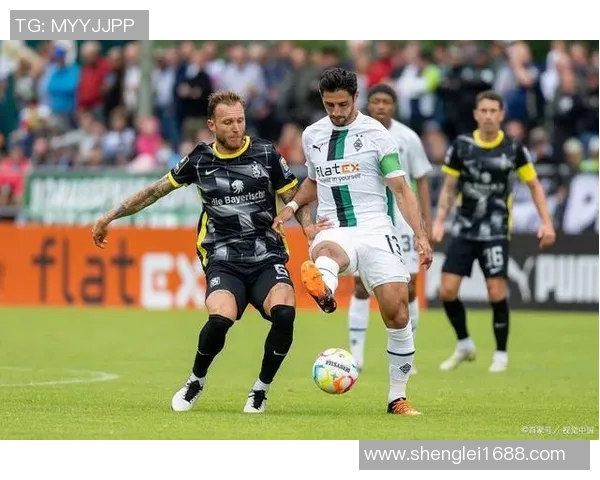 慕尼黑1860挑战德甲巨头，关键时刻迎来胜利！