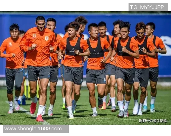 美欧足球比赛直播观看指南及平台推荐全解析