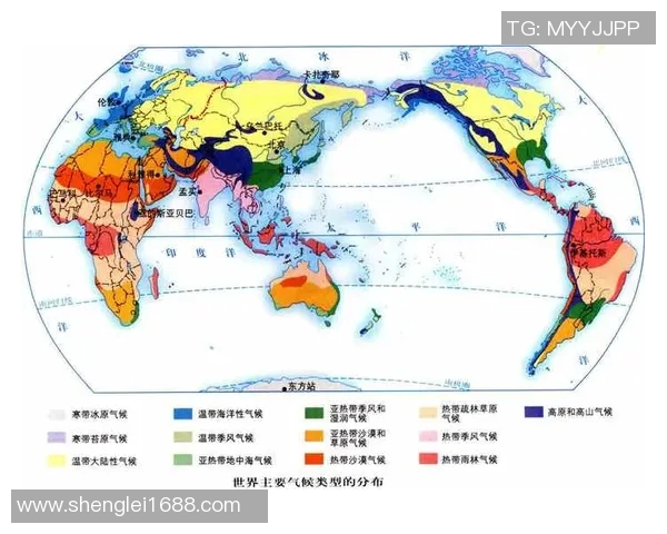 泰国与新加坡气温对比分析探讨热带气候的异同与影响
