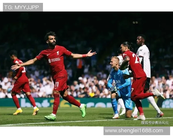 努涅斯在赛场上的崛起与挑战解析，展望未来的职业生涯发展与可能性