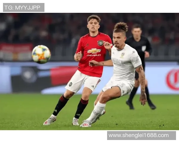 桑德兰对阵利兹联精彩直播全程回顾与赛后分析