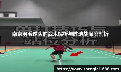 南京羽毛球队的战术解析与阵地战深度剖析