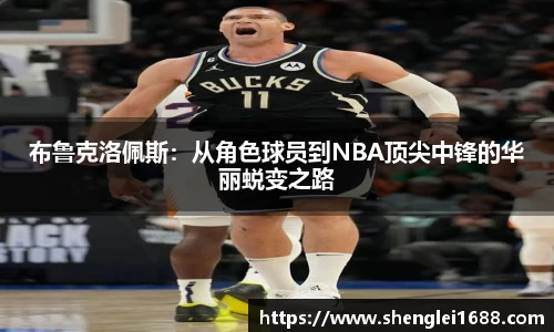 布鲁克洛佩斯：从角色球员到NBA顶尖中锋的华丽蜕变之路